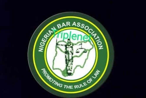 CALL FOR ARTICLES FOR PUBLICATION IN VOLUME 13 OF THE NIGERIAN BAR   JOURNAL