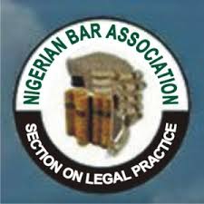 APPOINTMENT OF MEMBERS OF NBA ON SECTION ON LEGAL PRACTICE 2023 CONFERENCE PLANNING COMMITTEE