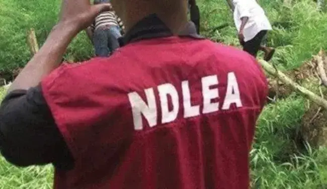 NDLEA smashes cocaine syndicate behind six UK-bound shipments