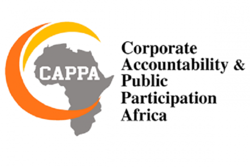 CAPPA names Rafsanjani Board Chair, cautions on Nigeria’s mining rush
