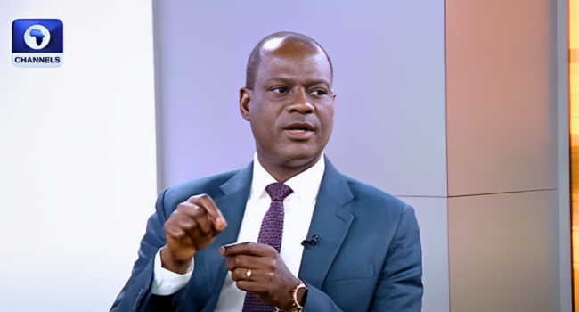 Tax Reforms: Low-Income Earners, Small Businesses To Feel Relief From January — Oyedele