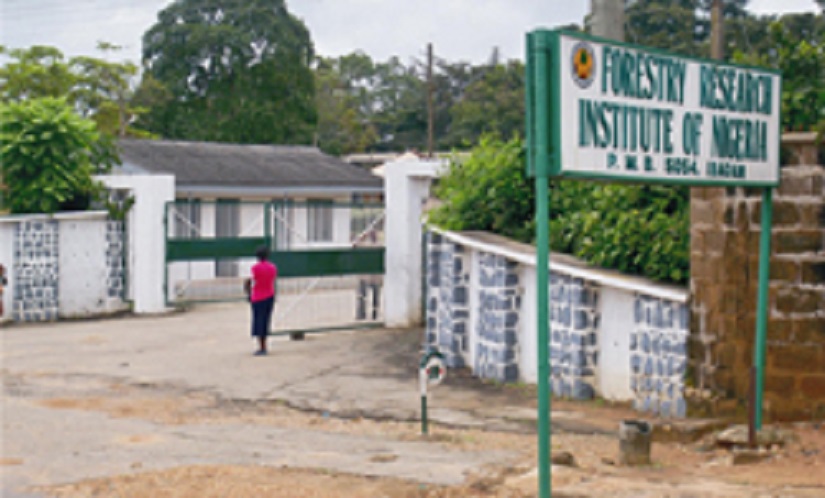 FRIN employee jailed for falsely accusing ex-boss of embezzlement 1 FRIN