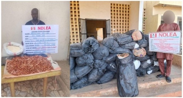 NDLEA intercepts UK, Australia-bound cocaine, opioid consignments 1 NDLEA