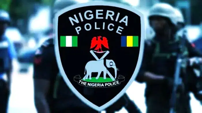 Nigerian Police Force 2
