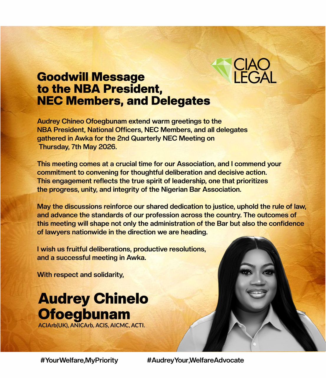 Audrey Chinelo Ofoegbunam Calls for Unity, Integrity, and Progressive Deliberations at NBA NEC Meeting