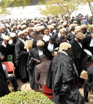 Law SchoolYNaija 300x336 1
