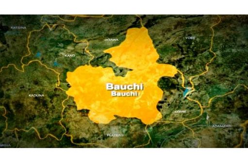 Bauchi map 511x340 1