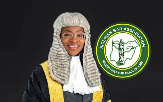 Akangbe: Why I didn’t congratulate Badejo-Okusanya on NBA poll victory 1 Oyinkansola Badejo Okusanya 541x340 1
