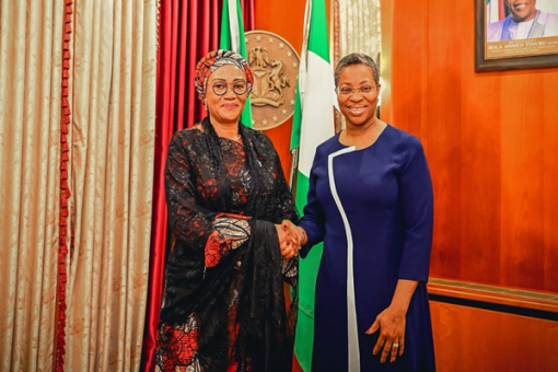 Remi Tinubu and Oyinkansola Badejo Okusanya 510x340 1