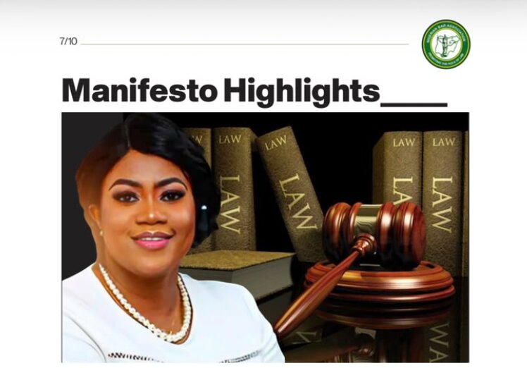Audrey Chinelo Ofoegbunam Unveils Sneak Peek of Welfare Manifesto, Seeks Support for NBA National Welfare Secretary 1 Screenshot 2026 07 12 at 08.06.19