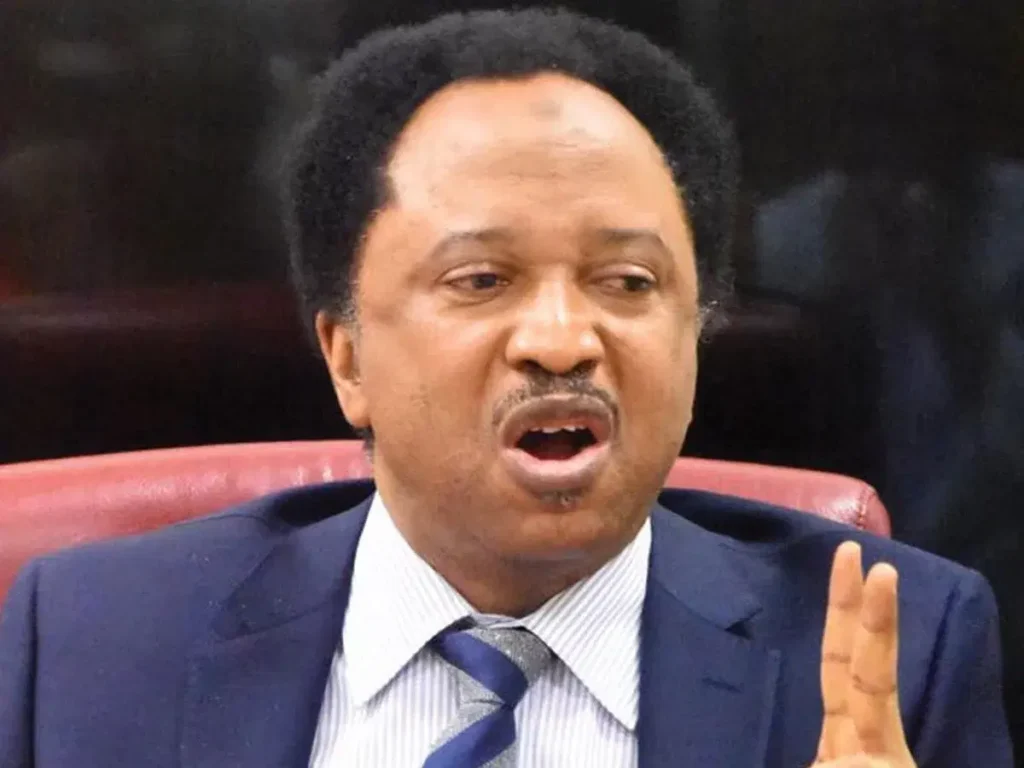 Legislative legacy not measured by number of motions, bills – Shehu Sani 1 Shehusani