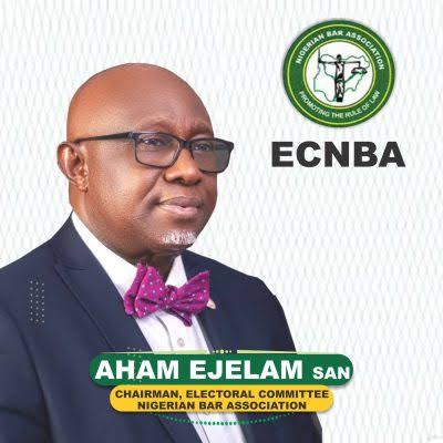 NBA Election: ECNBA Issues Fresh Guidance as Voters Experience OTP Delays 1 images 62